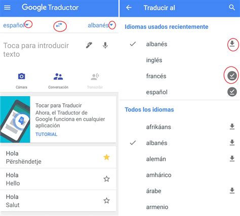 trdau|Traductor de Google .